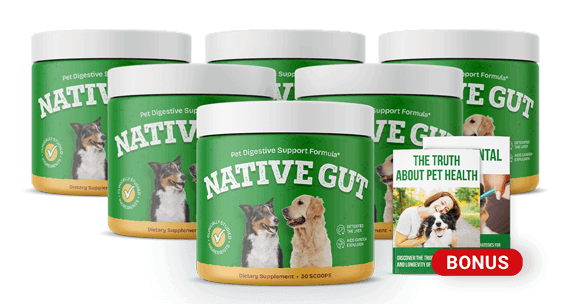 NativeGut buy